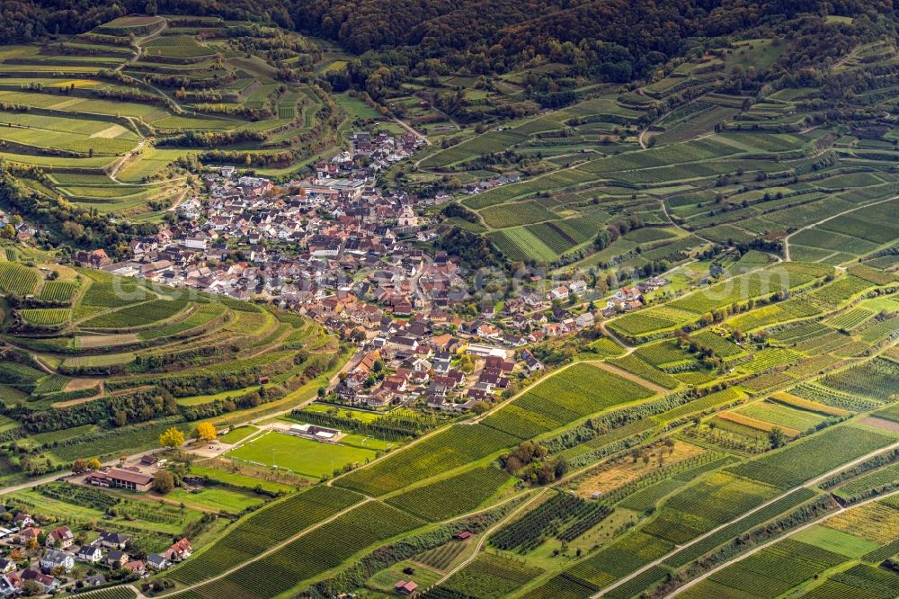 Aerial image Bickensohl - Fields of wine cultivation landscape in Bickensohl in the state Baden-Wuerttemberg, Germany