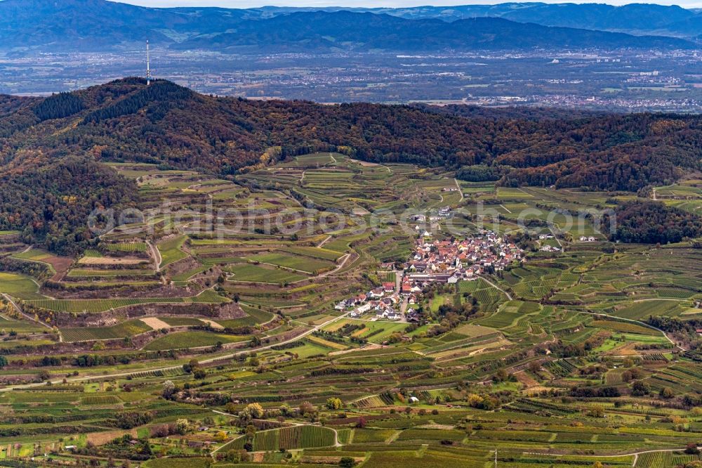 Aerial photograph Bickensohl - Fields of wine cultivation landscape in Bickensohl in the state Baden-Wuerttemberg, Germany