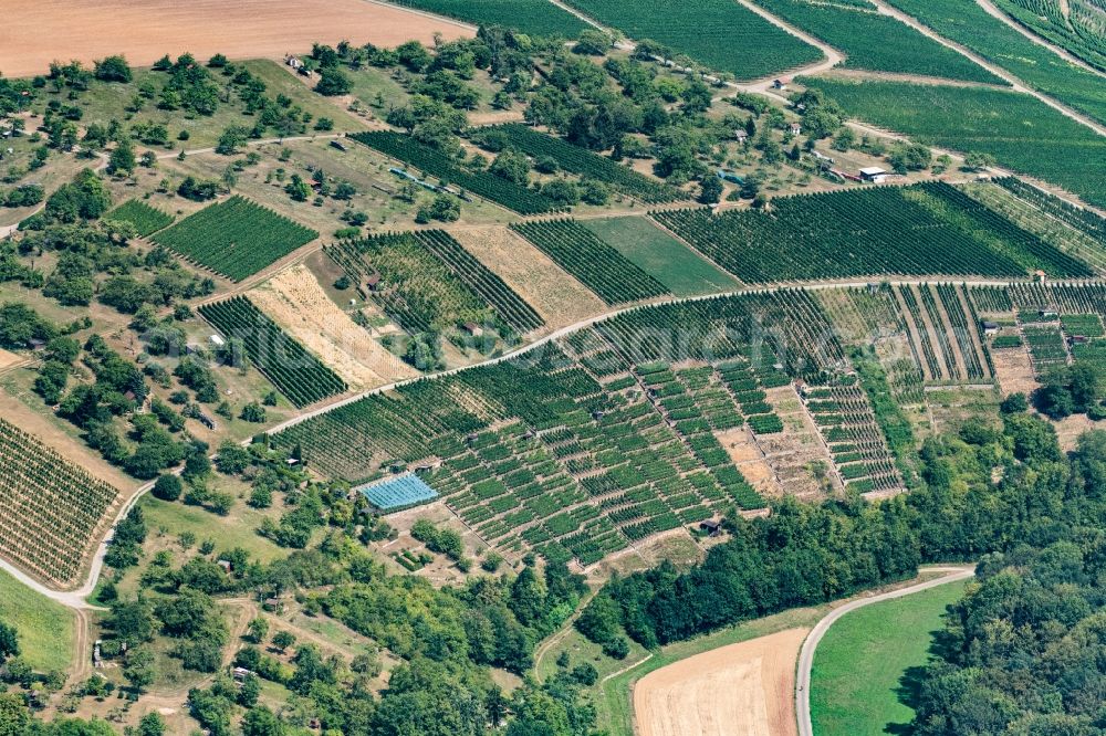 Aerial photograph Bietigheim-Bissingen - Fields of wine cultivation landscape in Bietigheim-Bissingen in the state Baden-Wurttemberg, Germany