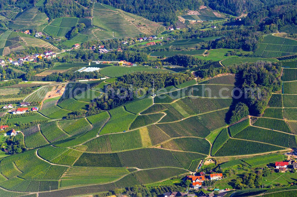 Durbach from the bird's eye view: Fields of wine cultivation landscape in Durbach in the state Baden-Wuerttemberg