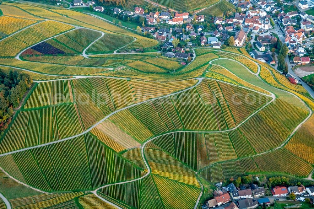 Aerial image Durbach - Fields of wine cultivation landscape in Durbach in the state Baden-Wurttemberg, Germany