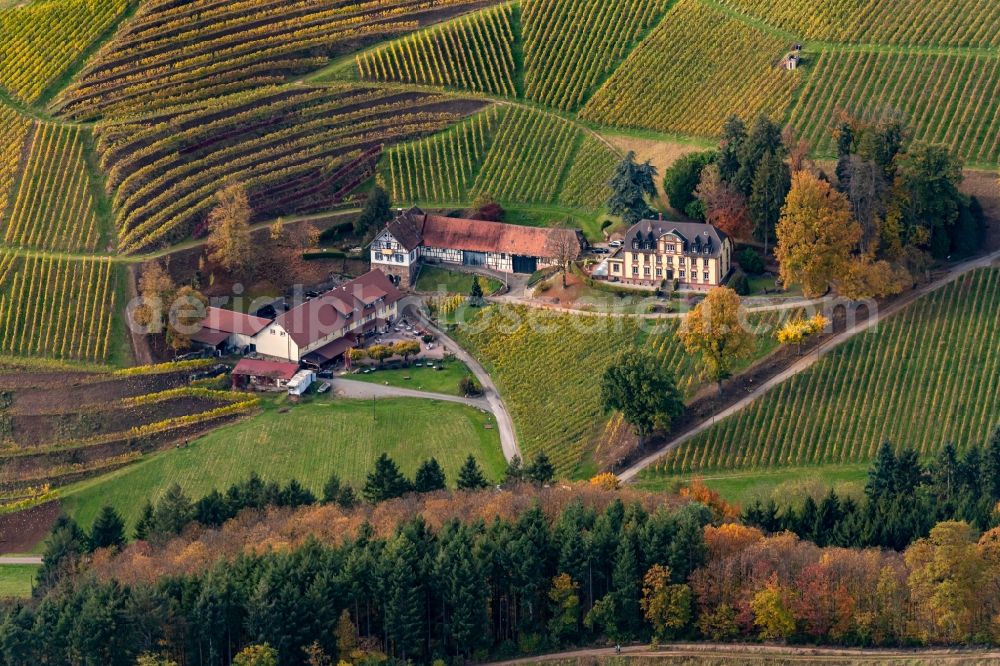 Aerial image Durbach - Fields of wine cultivation landscape in Durbach in the state Baden-Wuerttemberg, Germany
