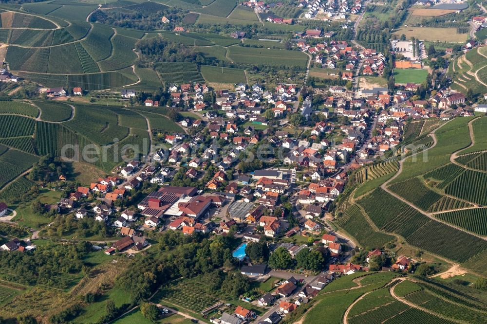 Aerial photograph Durbach - Fields of wine cultivation landscape in Durbach in the state Baden-Wurttemberg, Germany