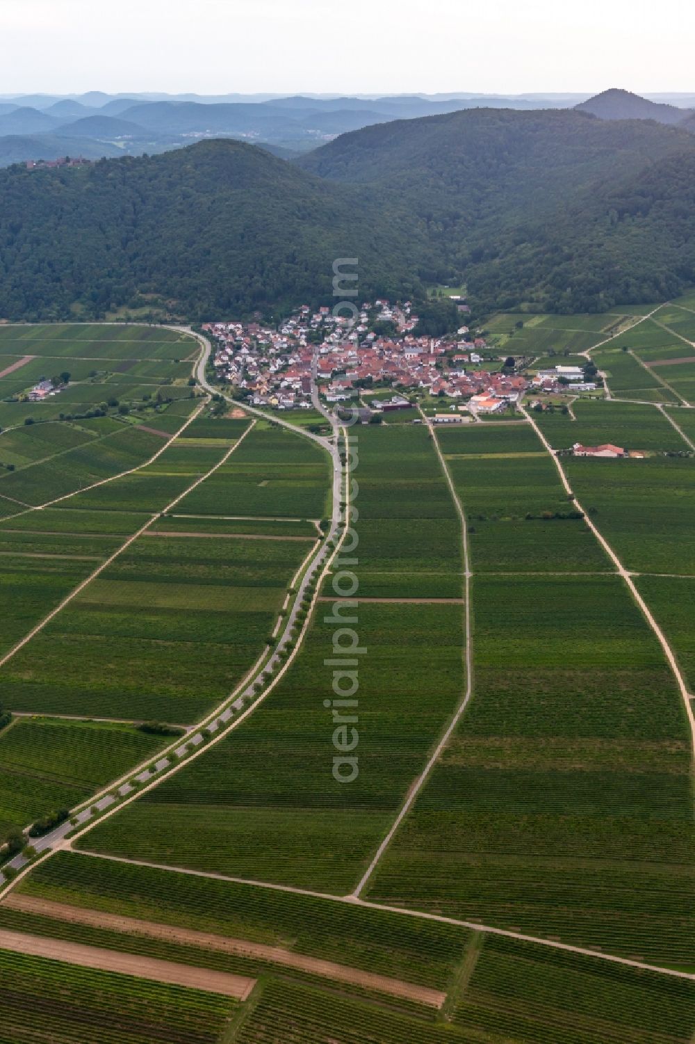 Eschbach from the bird's eye view: Fields of wine cultivation landscape in Eschbach in the state Rhineland-Palatinate, Germany