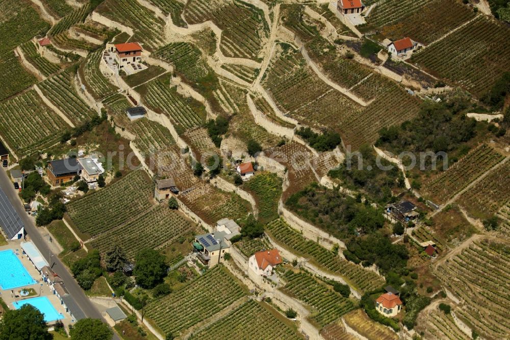 Aerial image Freyburg (Unstrut) - Fields of wine cultivation landscape in Freyburg (Unstrut) in the state Saxony-Anhalt, Germany