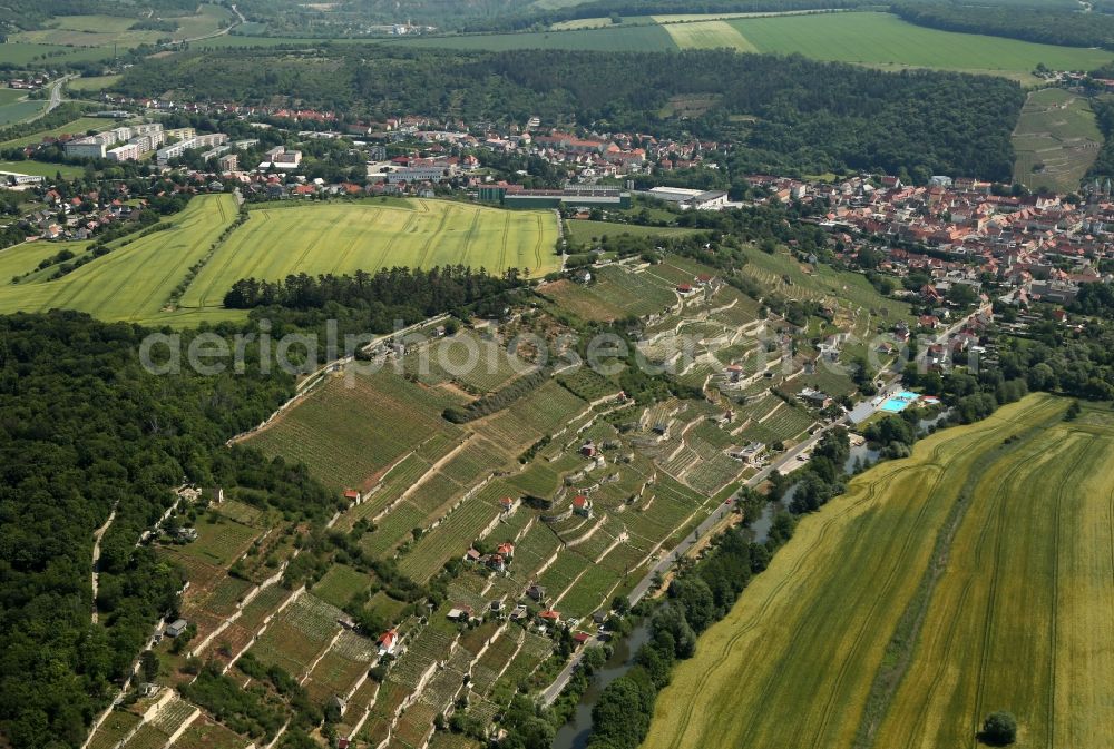 Freyburg (Unstrut) from the bird's eye view: Fields of wine cultivation landscape in Freyburg (Unstrut) in the state Saxony-Anhalt, Germany