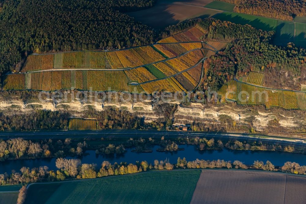 Aerial image Karlstadt - Fields of wine cultivation landscape on the Main river in Karlstadt in the state Bavaria, Germany