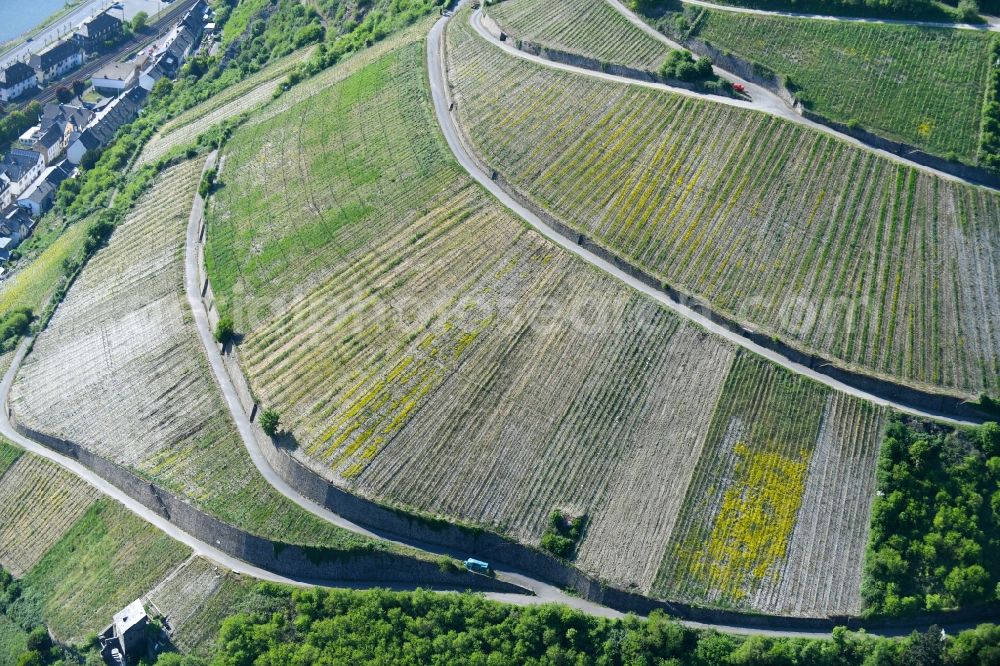 Aerial image Kaub - Fields of wine cultivation landscape in Kaub in the state Rhineland-Palatinate, Germany