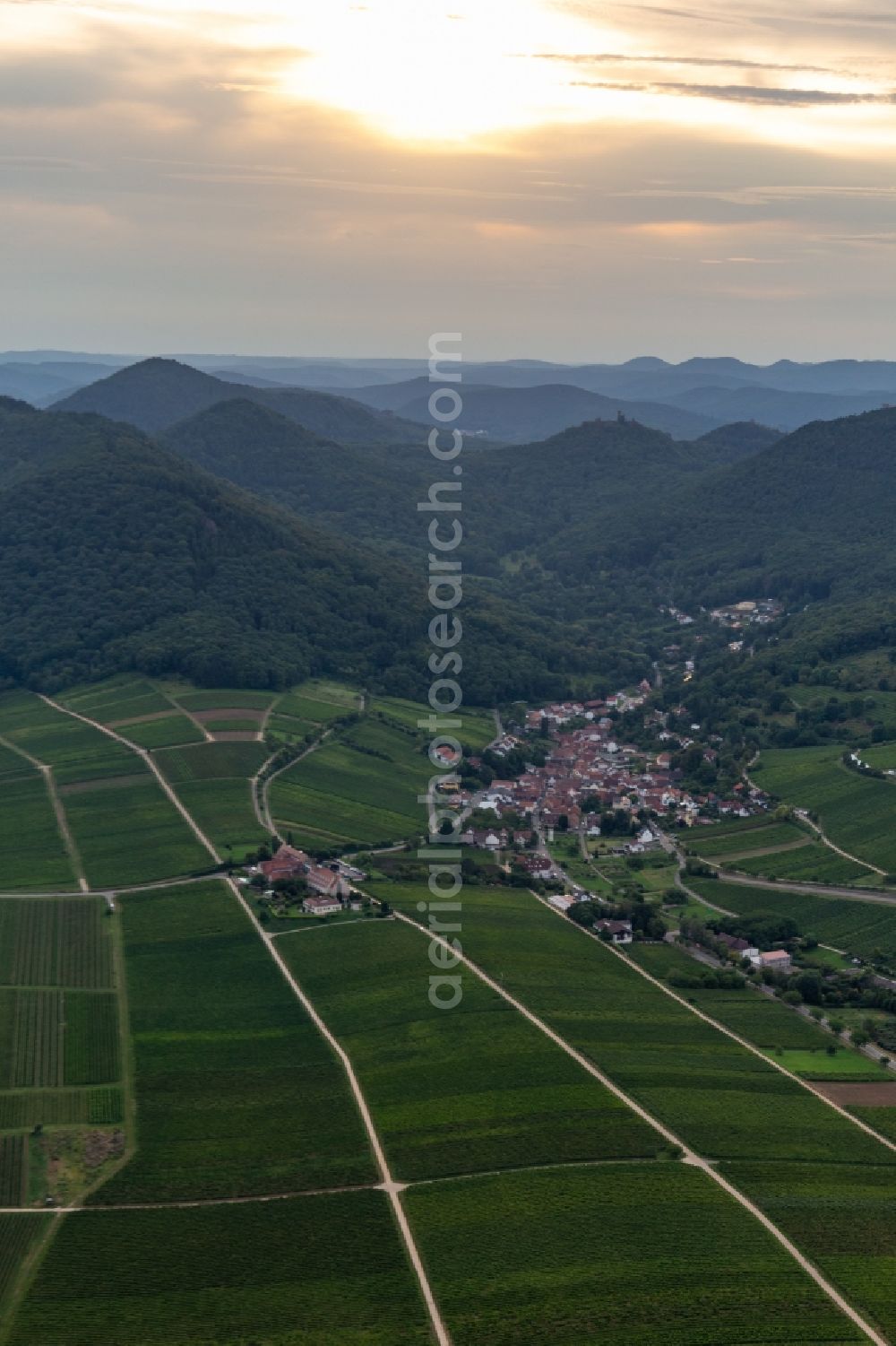 Leinsweiler from above - Fields of wine cultivation landscape in Leinsweiler in the state Rhineland-Palatinate, Germany