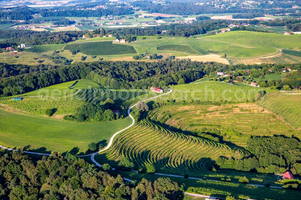Aerial image Mestni Vrh - Fields of wine cultivation landscape in Mestni Vrh in Ptuj, Slovenia