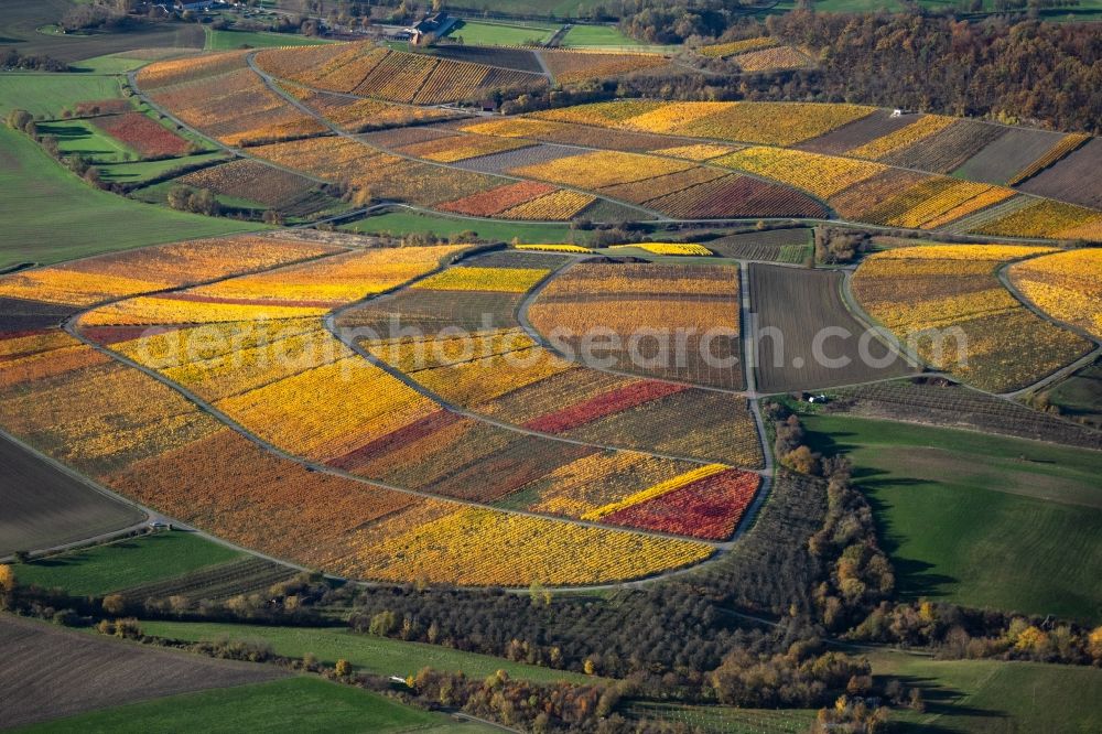 Aerial image Oberschwarzach - fields of wine cultivation landscape in Oberschwarzach in the state Bavaria, Germany