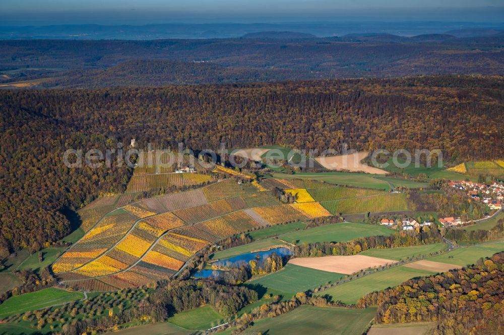 Aerial photograph Oberschwarzach - fields of wine cultivation landscape in Oberschwarzach in the state Bavaria, Germany