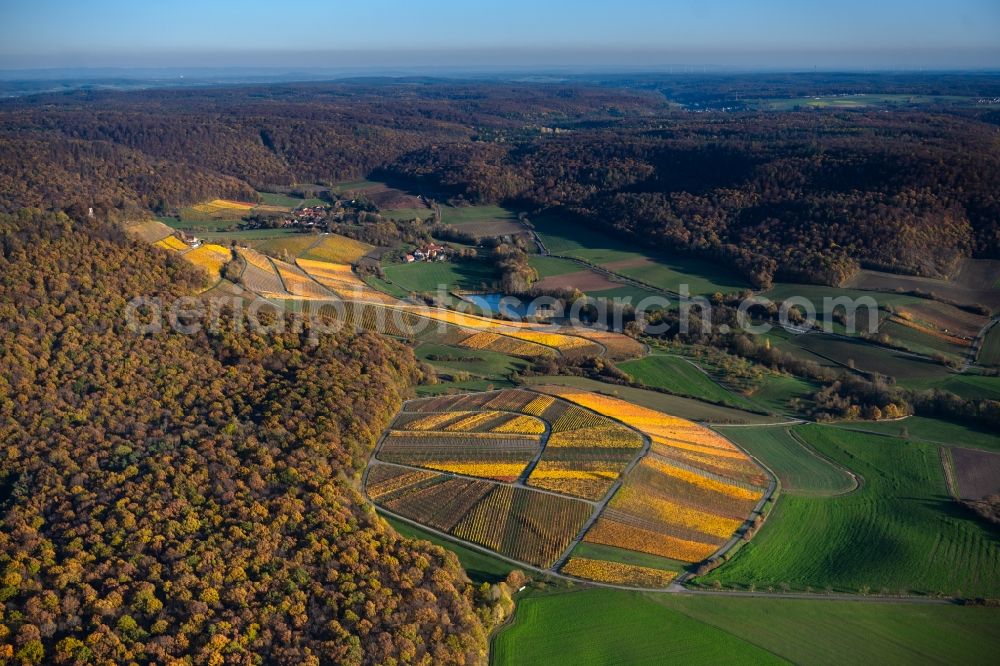 Oberschwarzach from the bird's eye view: fields of wine cultivation landscape in Oberschwarzach in the state Bavaria, Germany