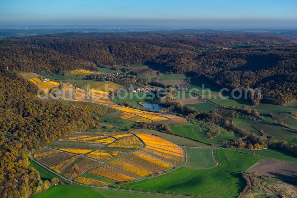 Aerial image Oberschwarzach - fields of wine cultivation landscape in Oberschwarzach in the state Bavaria, Germany