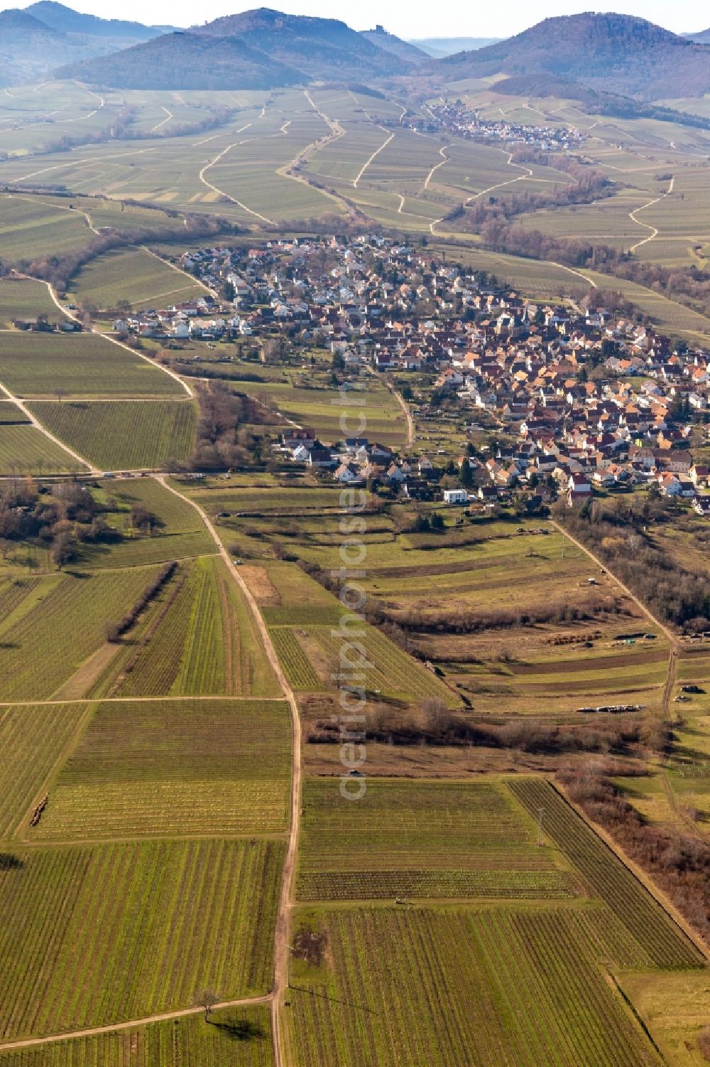 Aerial photograph Landau in der Pfalz - Fields of a vineyard scenery of the winegrowers areas in the district of Arzheim in Landau in the Palatinate in the federal state Rhineland-Palatinate