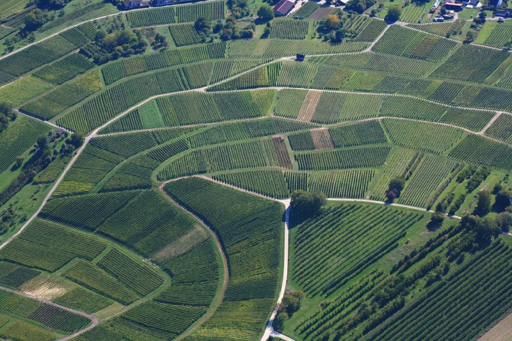 Aerial image Efringen-Kirchen - Vineyard and fields of wine cultivation landscape in the district Fischingen in Efringen-Kirchen in the state Baden-Wurttemberg, Germany