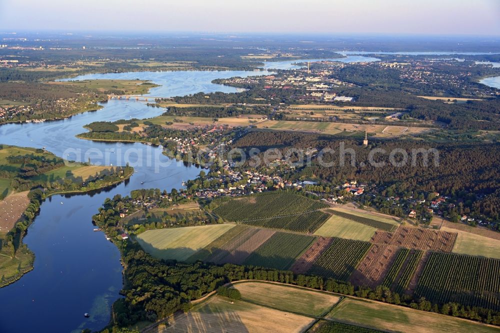 Aerial photograph Werder (Havel) - Fields of wine cultivation landscape Phoebener Wachtelberg in Werder (Havel) in the state Brandenburg, Germany