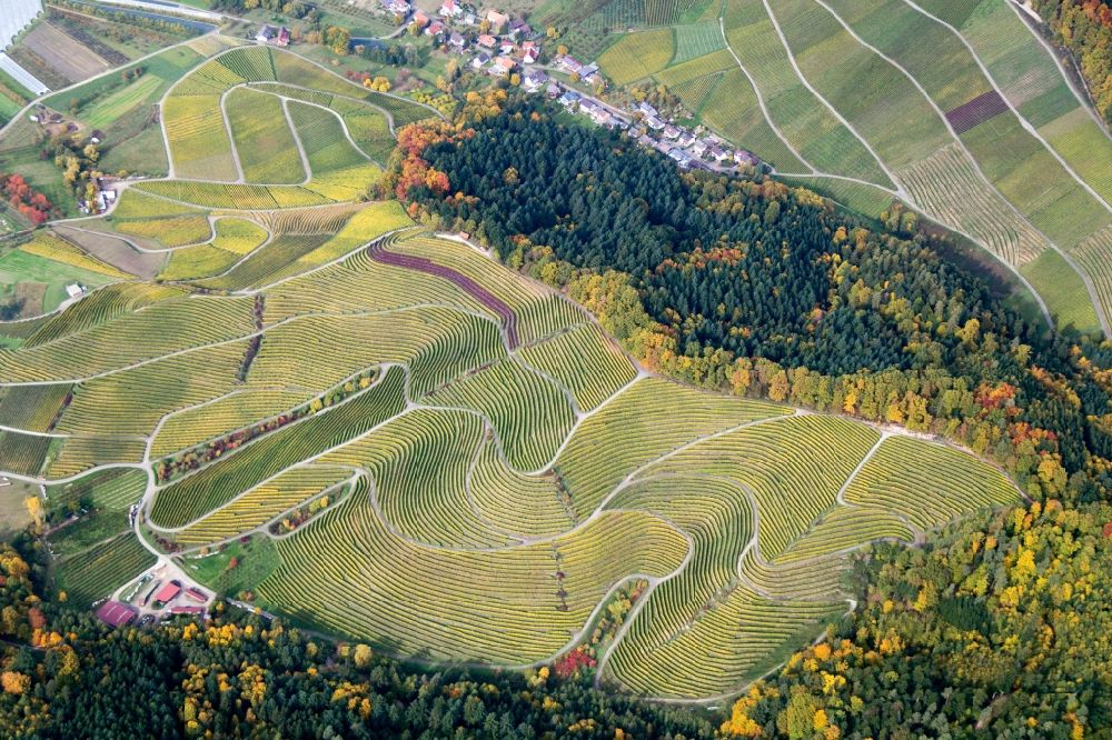 Aerial image Sasbachwalden - Fields of wine cultivation landscape in Sasbachwalden in the state Baden-Wuerttemberg