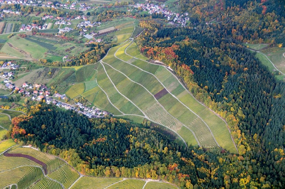 Aerial photograph Sasbachwalden - Fields of wine cultivation landscape in Sasbachwalden in the state Baden-Wuerttemberg