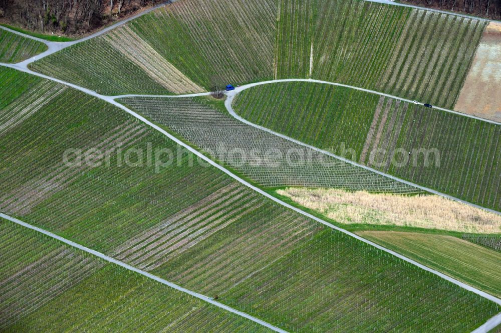 Aerial photograph Siebeneich - Fields of wine cultivation landscape in Siebeneich in the state Baden-Wurttemberg, Germany
