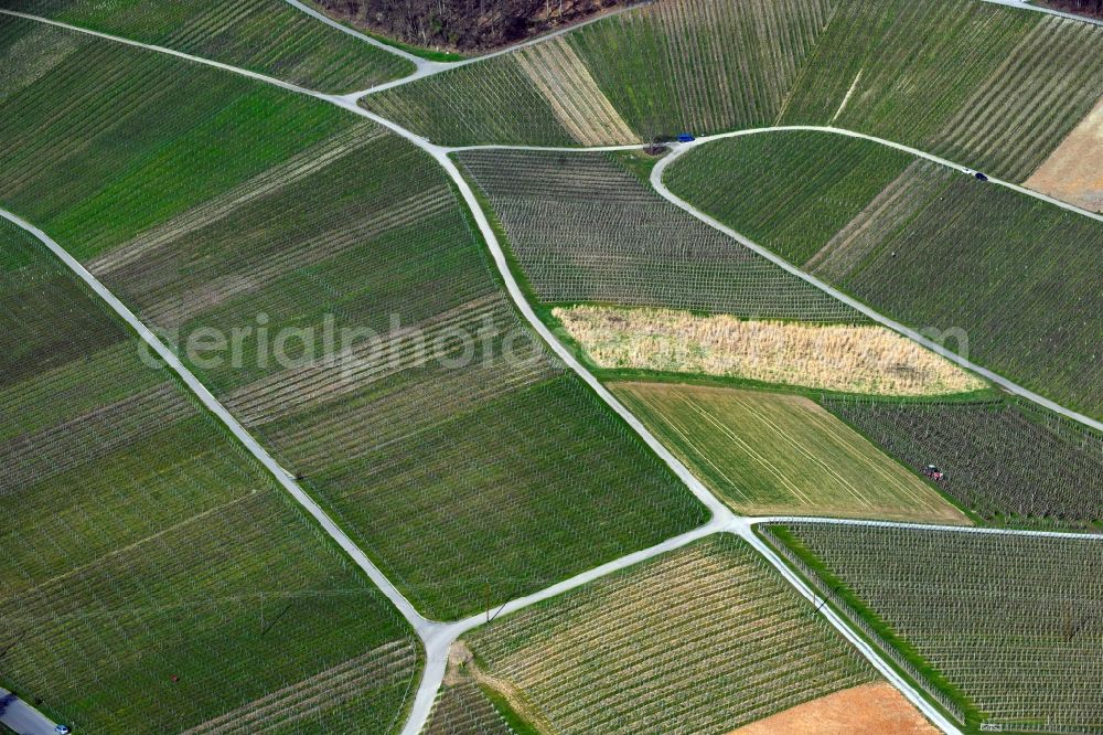 Siebeneich from above - Fields of wine cultivation landscape in Siebeneich in the state Baden-Wurttemberg, Germany