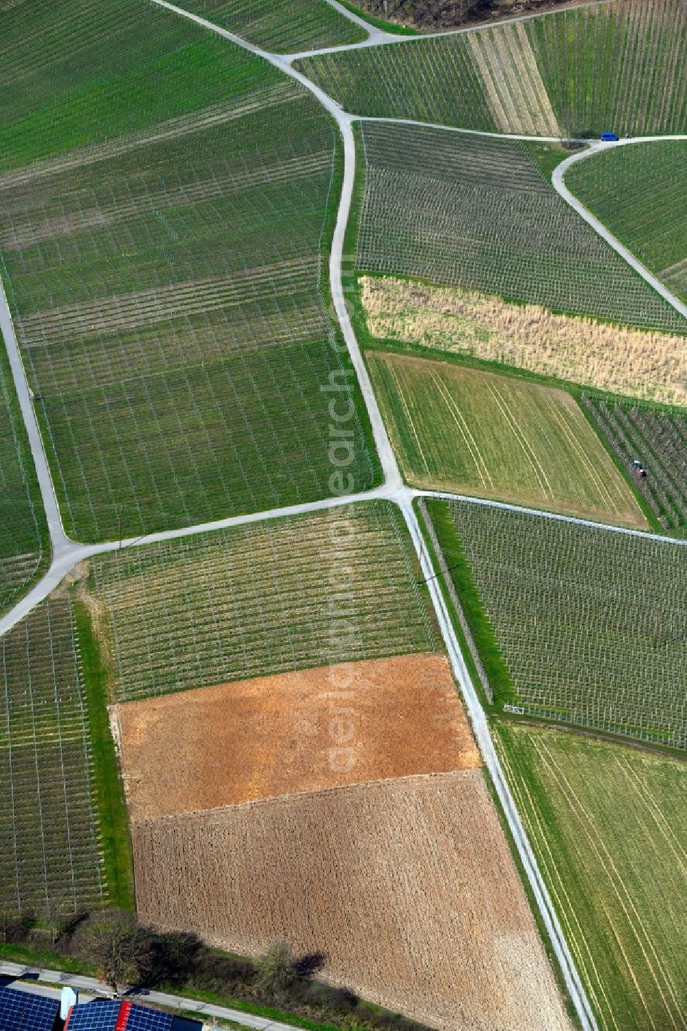 Siebeneich from the bird's eye view: Fields of wine cultivation landscape in Siebeneich in the state Baden-Wurttemberg, Germany