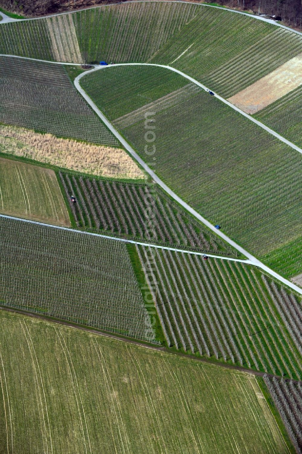 Aerial image Siebeneich - Fields of wine cultivation landscape in Siebeneich in the state Baden-Wurttemberg, Germany