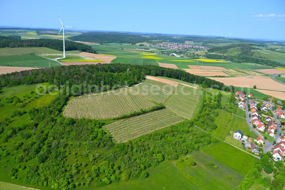 Uettingen from the bird's eye view: Fields of wine cultivation landscape on street Am Finkenflug in Uettingen in the state Bavaria, Germany