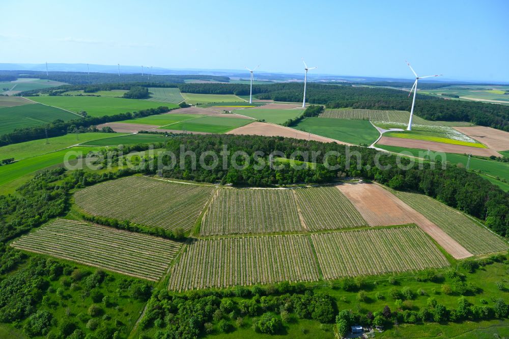 Aerial image Uettingen - Fields of wine cultivation landscape on street Am Finkenflug in Uettingen in the state Bavaria, Germany