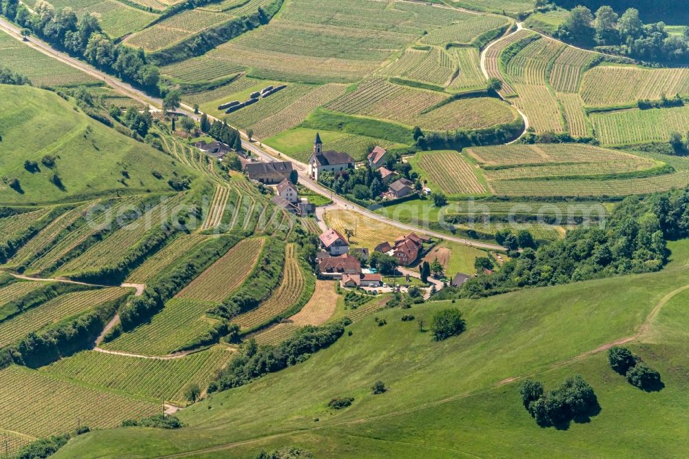 Aerial photograph Vogtsburg im Kaiserstuhl - Fields of wine cultivation landscape in Vogtsburg im Kaiserstuhl in the state Baden-Wurttemberg, Germany
