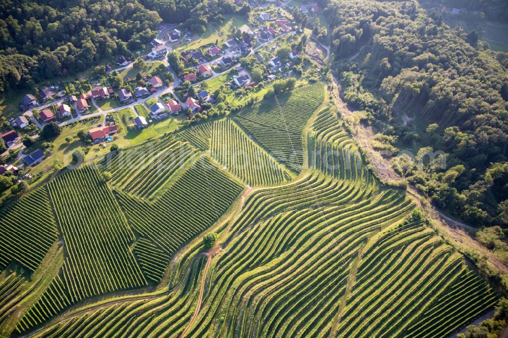 Aerial photograph Vurberk - Fields of wine cultivation landscape on Vurberg in Vurberk in Upravna enota Maribor, Slovenia