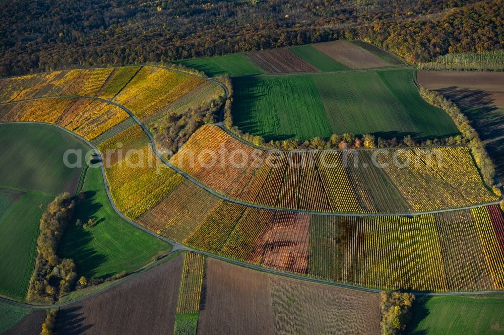 Aerial image Wiebelsberg - fields of wine cultivation landscape in Wiebelsberg in the state Bavaria, Germany