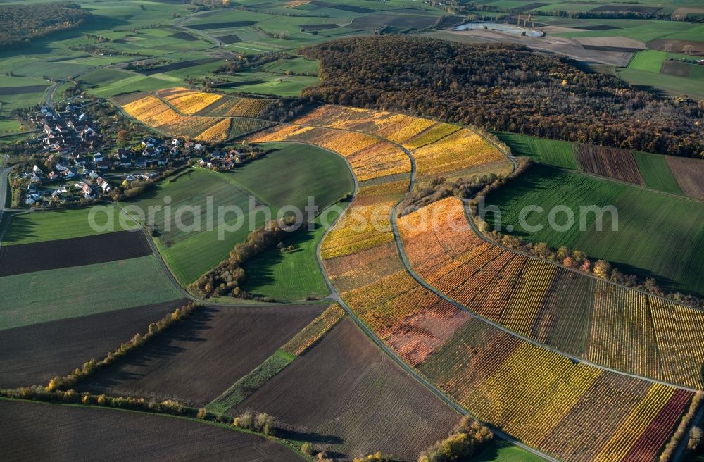 Aerial photograph Wiebelsberg - fields of wine cultivation landscape in Wiebelsberg in the state Bavaria, Germany