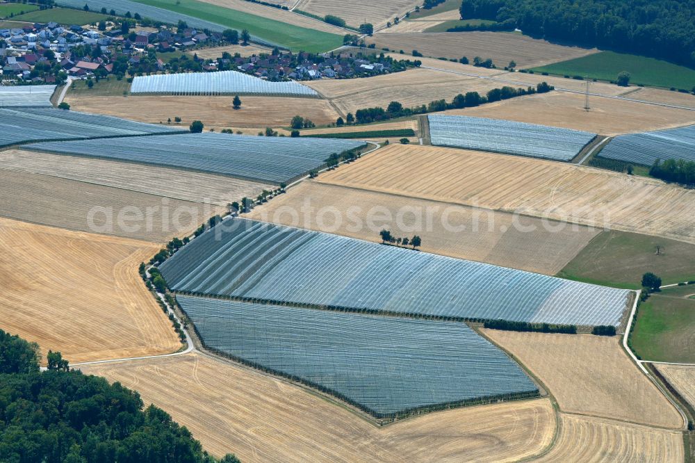 Zweiflingen from the bird's eye view: Fields of wine cultivation landscape in Zweiflingen in the state Baden-Wuerttemberg, Germany