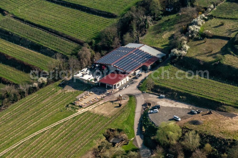 Ettenheim from above - Fields of wine cultivation landscape in Ettenheim in the state Baden-Wurttemberg, Germany