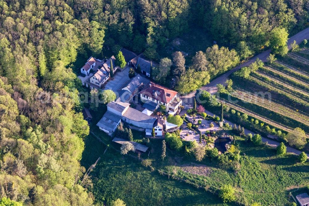 Burrweiler from above - Building and manor house of the winery Sankt Annaberg in Burrweiler in the state Rhineland-Palatinate, Germany