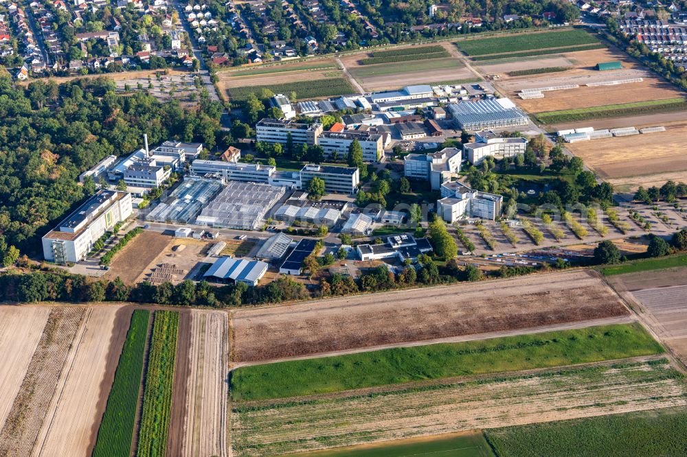 Aerial image Limburgerhof - BASF Agricultural Center on street Hardenburgstrasse in Limburgerhof in the state Rhineland-Palatinate, Germany