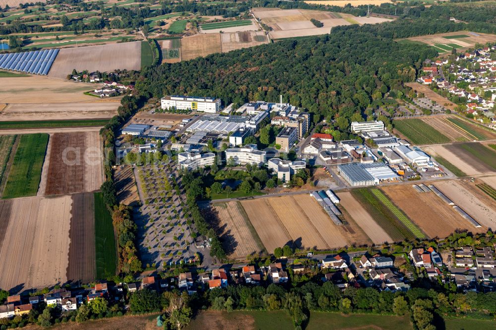 Aerial photograph Limburgerhof - BASF Agricultural Center on street Hardenburgstrasse in Limburgerhof in the state Rhineland-Palatinate, Germany
