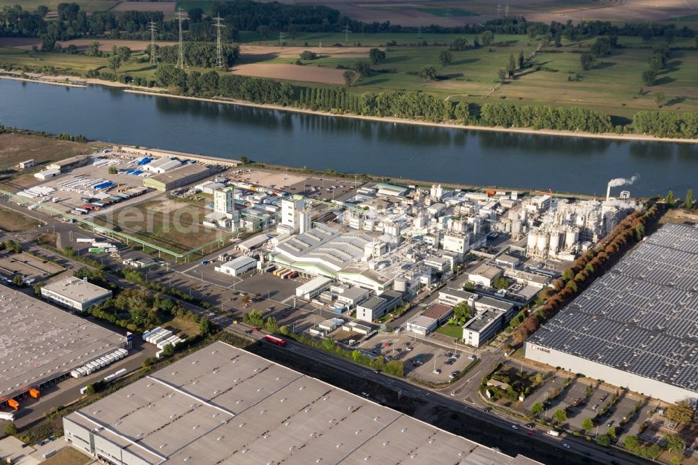 Aerial image Worms - Building and production halls on the premises of the chemical manufacturers Grace GmbH on the river bank of the Rhine in Worms in the state Rhineland-Palatinate, Germany