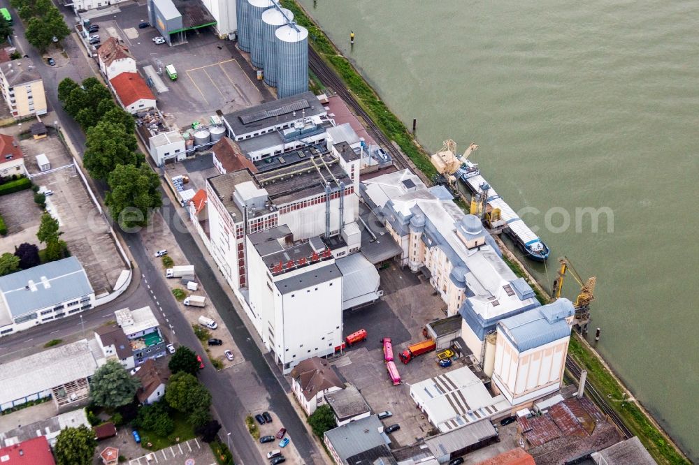 Worms from the bird's eye view: Building and production halls on the premises of the chemical manufacturers Trumpler GmbH & Co. KG, Chemische Fabrik on the river banks of the Rhine in Worms in the state Rhineland-Palatinate, Germany