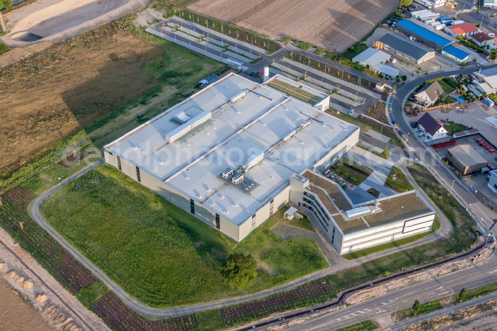 Aerial photograph Rülzheim - Building and production halls on the premises of DBK David + Baader GmbH on street Nordring in Ruelzheim in the state Rhineland-Palatinate, Germany