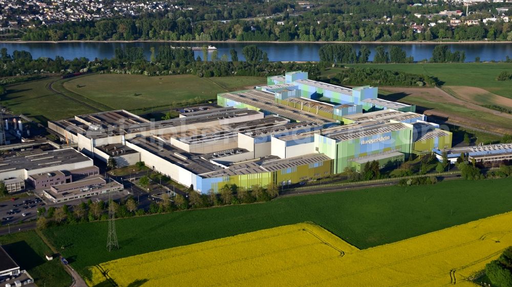 Andernach from the bird's eye view: Building and production halls on the premises of of thyssenkrupp Rasselstein GmbH on Koblenzer Strasse in Andernach in the state Rhineland-Palatinate, Germany