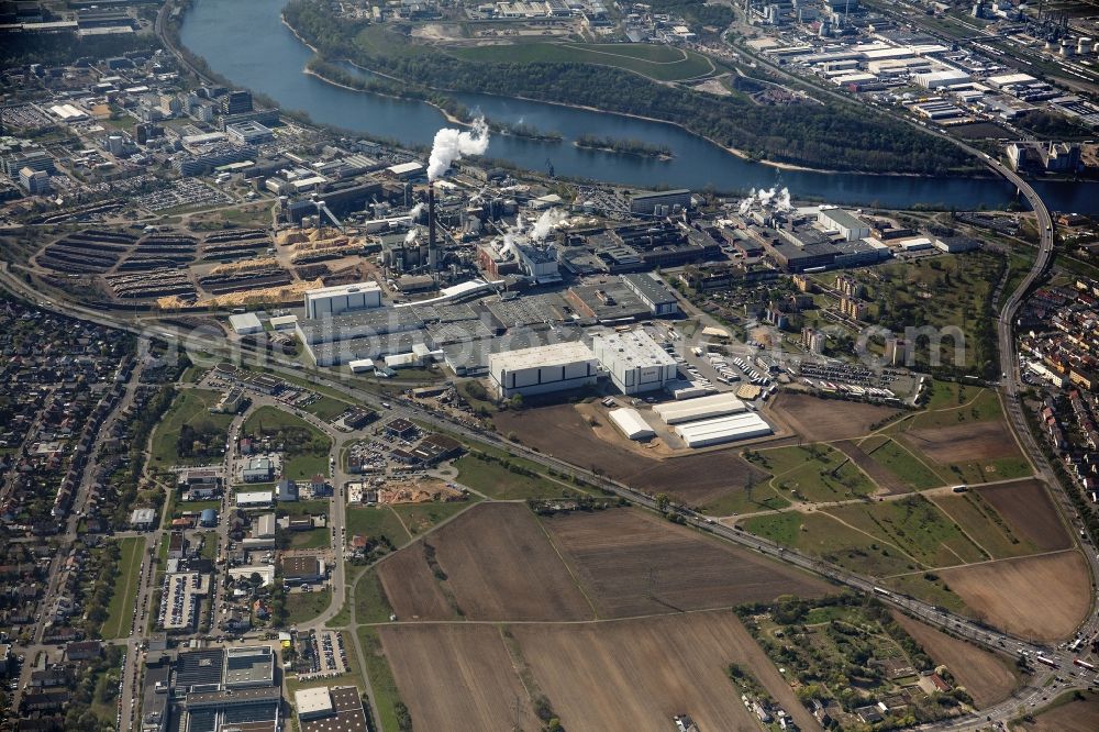 Mannheim from the bird's eye view: Building and production halls on the premises of Essity GmbH in Mannheim in the state Baden-Wurttemberg, Germany