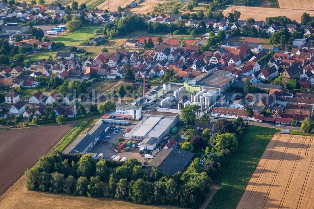 Aerial image Lustadt - Building and production halls on the premises in Lustadt in the state Rhineland-Palatinate, Germany