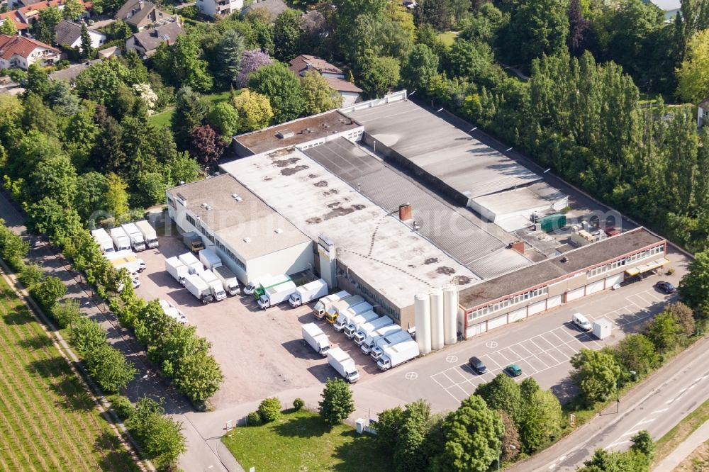 Landau in der Pfalz from the bird's eye view: Building and production halls on the premises of Hofmeister Brot GmbH in the district Wollmesheim in Landau in der Pfalz in the state Rhineland-Palatinate, Germany
