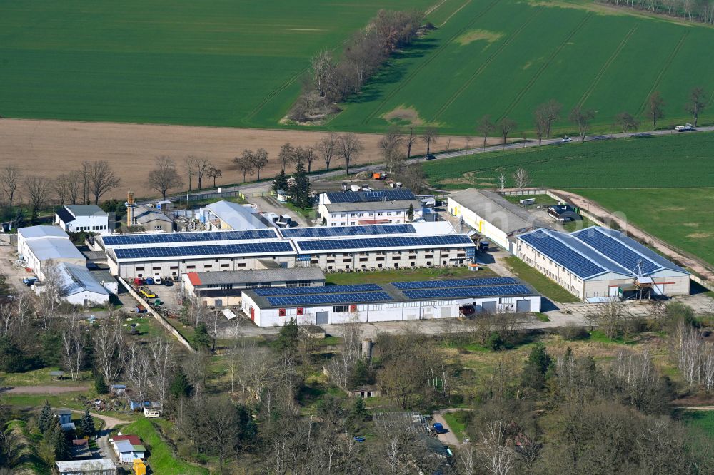 Dessau from the bird's eye view: Building and production halls on the premises Stahlmoebel Dessau GmbH on street Koenigendorfer Strasse in the district Kochstedt in Dessau in the state Saxony-Anhalt, Germany