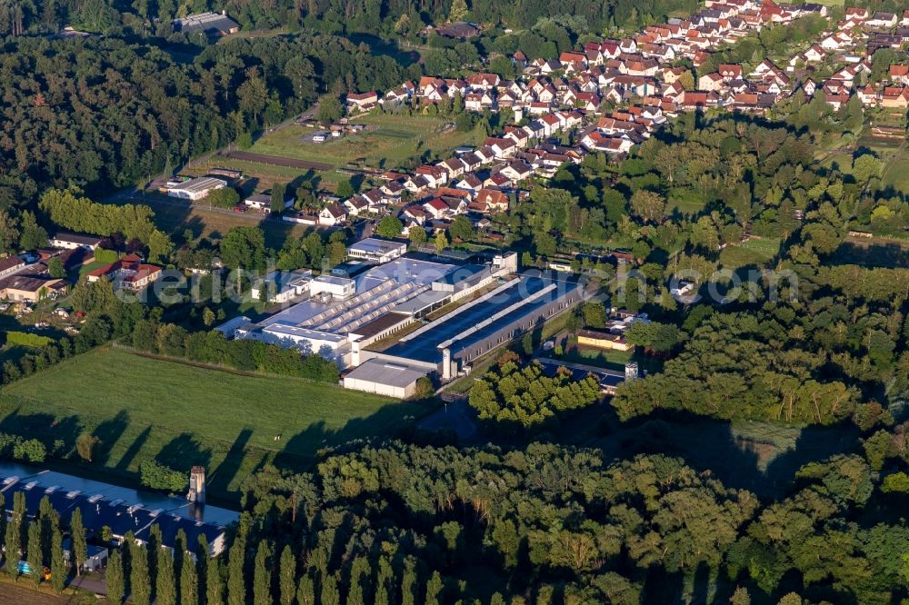Schaidt from above - Building and production halls on the premises of Unternehmens Webasto Mechatronics in Schaidt in the state Rhineland-Palatinate, Germany
