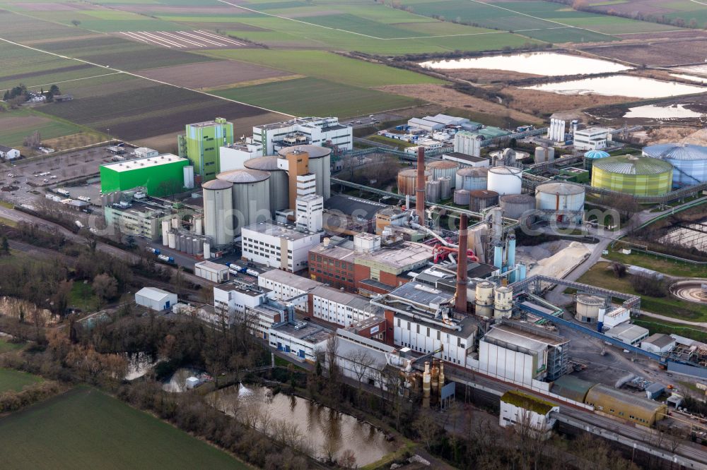 Obrigheim (Pfalz) from the bird's eye view: Building and production halls on the premises of sugar factory Suedzucker AG in Obrigheim (Pfalz) in the state Rhineland-Palatinate, Germany