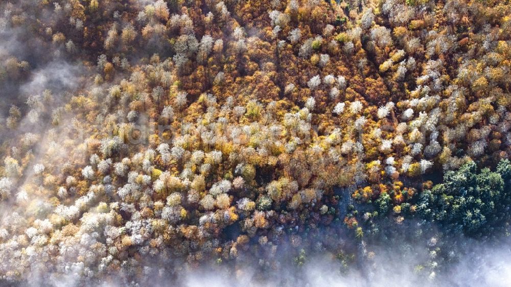Aerial image Bad Wildungen - Weather with layered fog cover ueber einem Waldgebiet on einem Herbstmorgen with Raureif bedeckten Baumspitzen in Bad Wildungen in the state Hesse, Germany