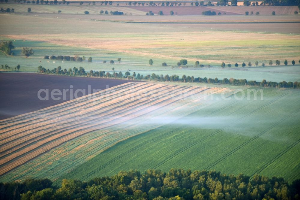 Rathmannsdorf from the bird's eye view: Weather with layered fog cover on a field landscape in Rathmannsdorf in the state Saxony-Anhalt, Germany